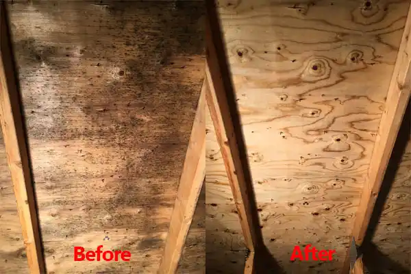 water damage restoration service Sherrill